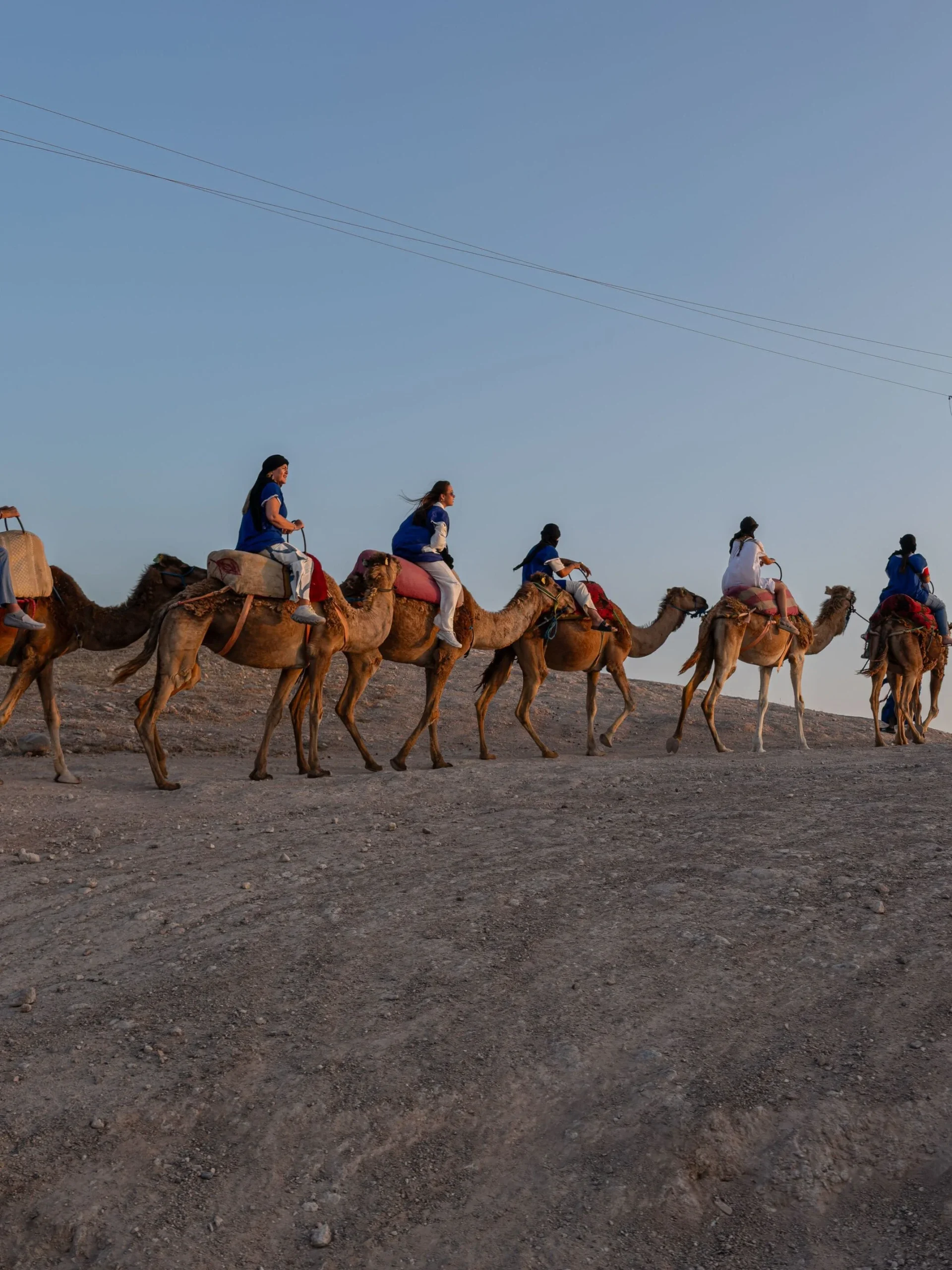 Camel ride in the Palmeraie Marrakech