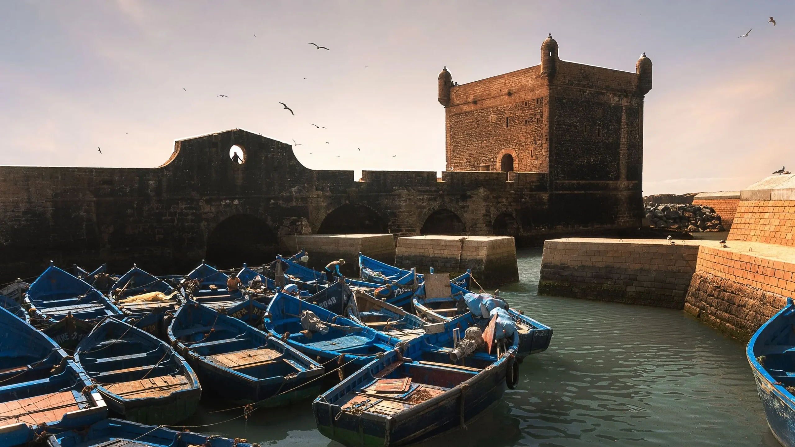 Essaouira coastal day trip from Marrakech