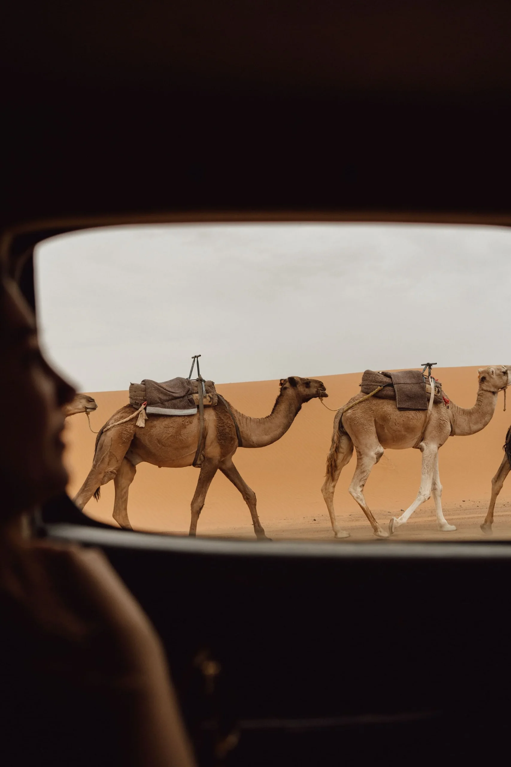 Merzouga to Fes roadtrip in Morocco